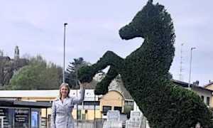 ribot dormelletto apr 25