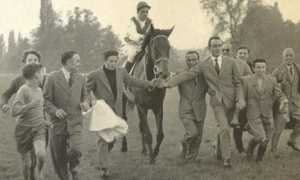 ribot