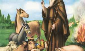 sant antonio abate animali