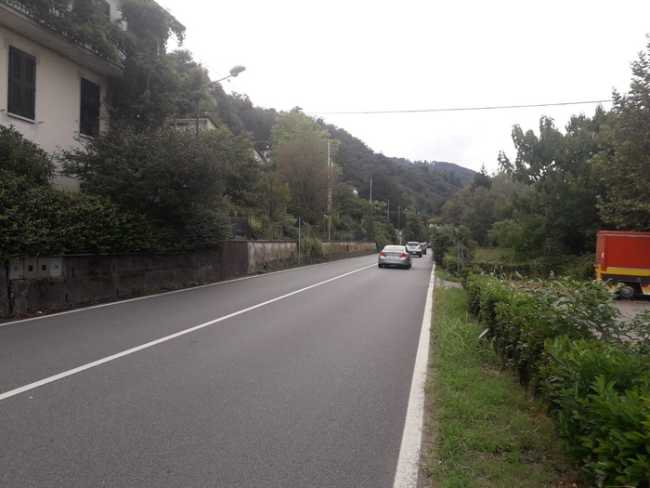 ss33 aron