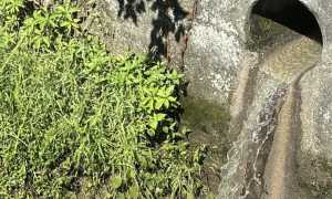 sversamento arona. 24