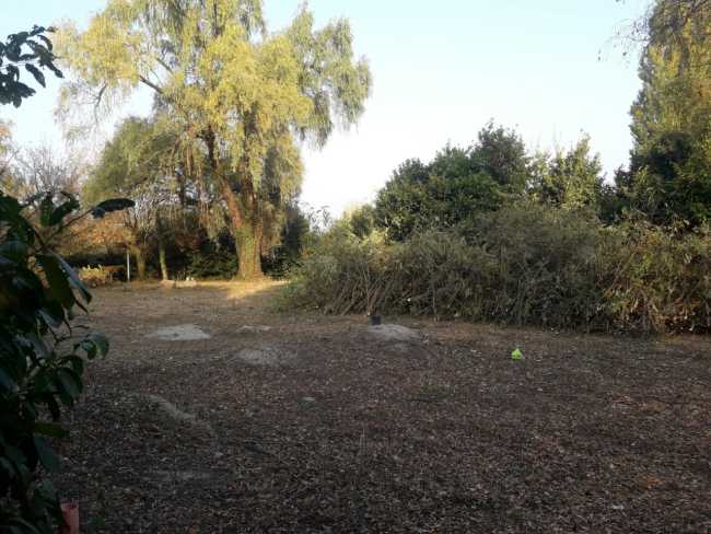 terreno pulito