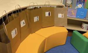 thumbnail arona sacchetti ok 1