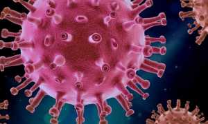 thumbnail covid virus rosso