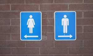 toilette
