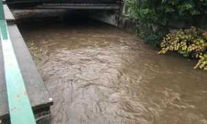 torrente arona