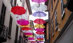 undercolors archivio