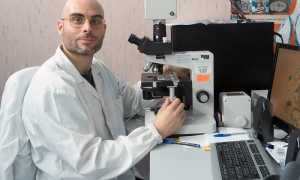 vandoni andrea dottore