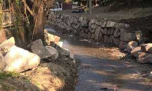 vevera torrente
