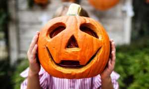 zucca