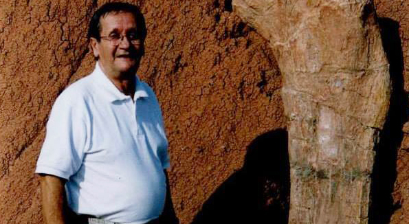 guazzoni aronese aronesi