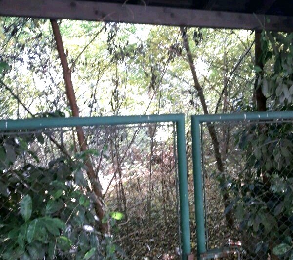 terreno arona 2