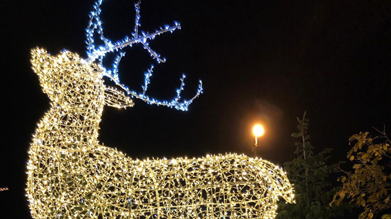 arona natale 3