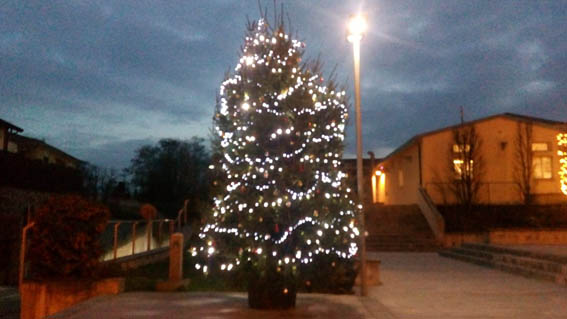 pombia albero