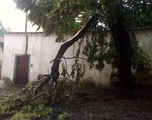 vp temporale 1