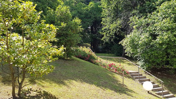 meina parco museo