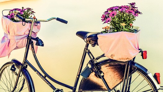 bici fiori