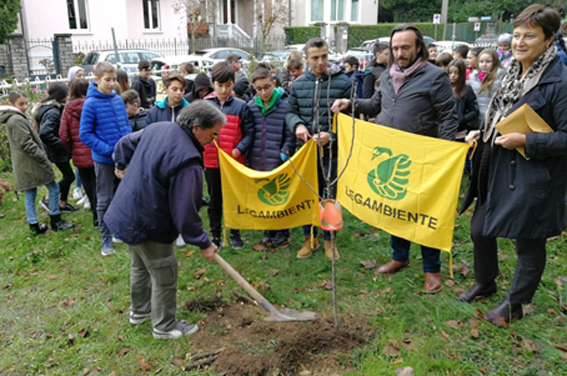 arona festa albero