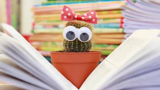 libro bimbi
