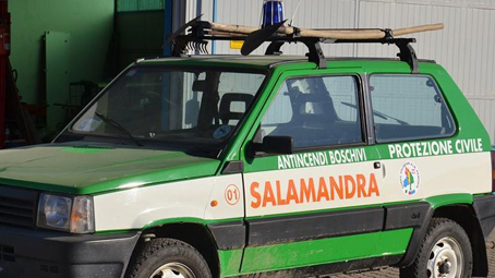 aib salamandra