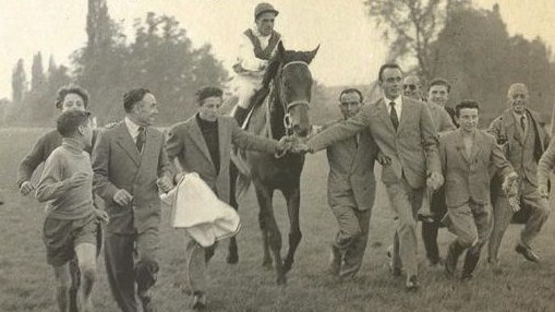 ribot