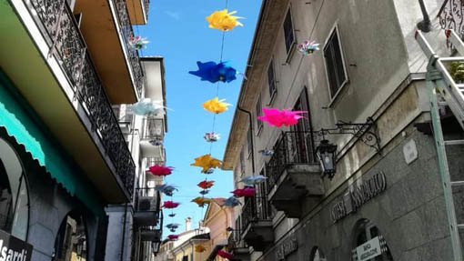 girandole arona