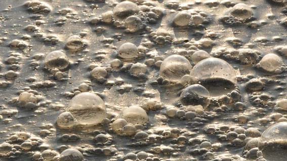 inquinamento acqua