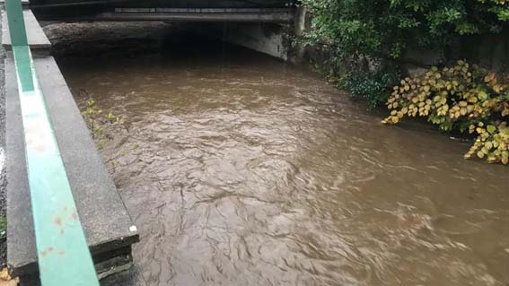 torrente arona