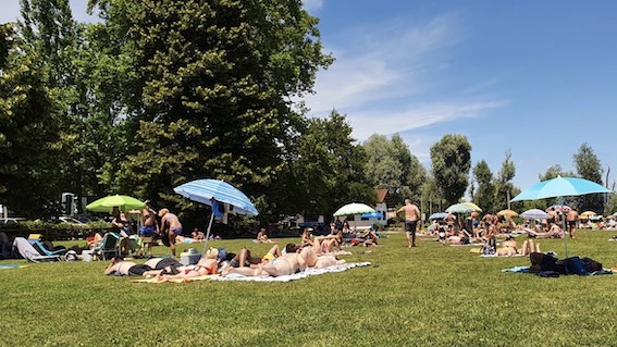 dormelletto pirolino