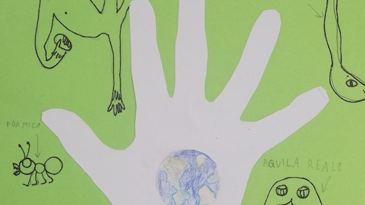 pisano disegni