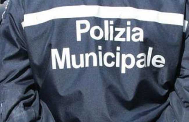 polizia municipale 700 images common thumb medium650 0