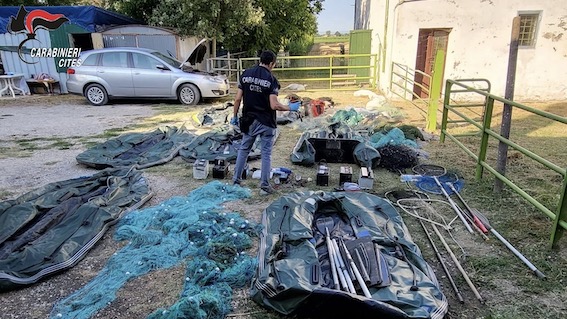 forestale operazione 2