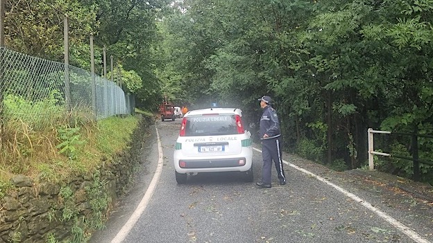 lesa situazione normale