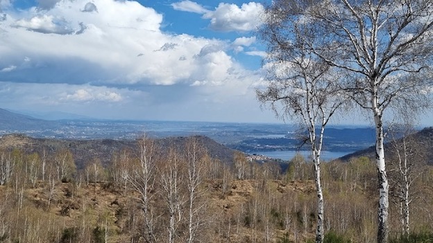 incendio vergante foto
