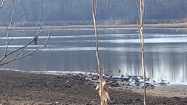 lagone arona siccita