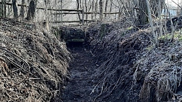 manutenzione lagoni mercurago