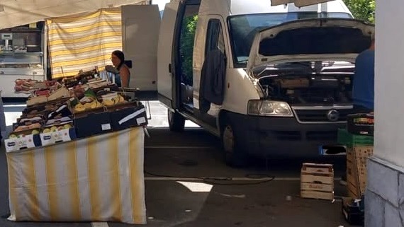 meina mercato 25