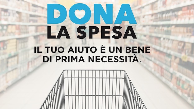 dona spesa animali