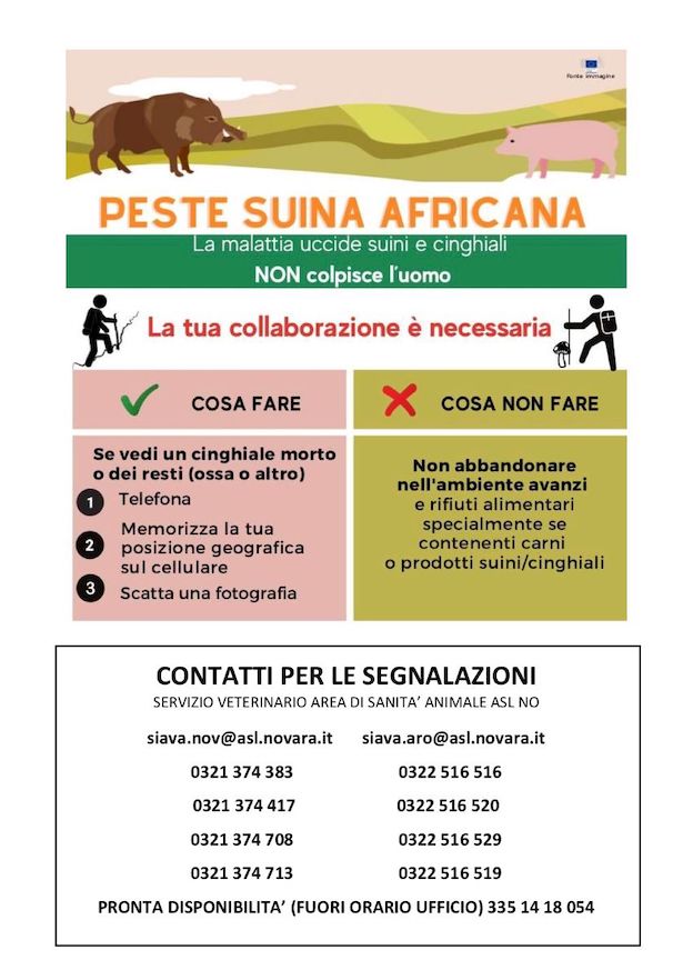 locandina peste suina