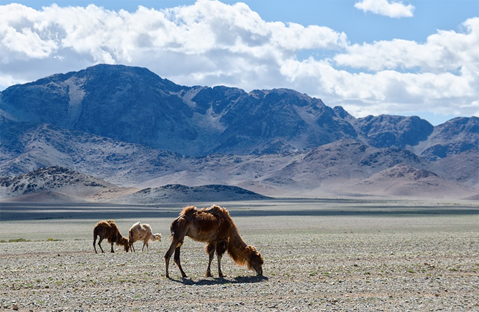  Da Nebbiuno alla Mongolia e ritorno