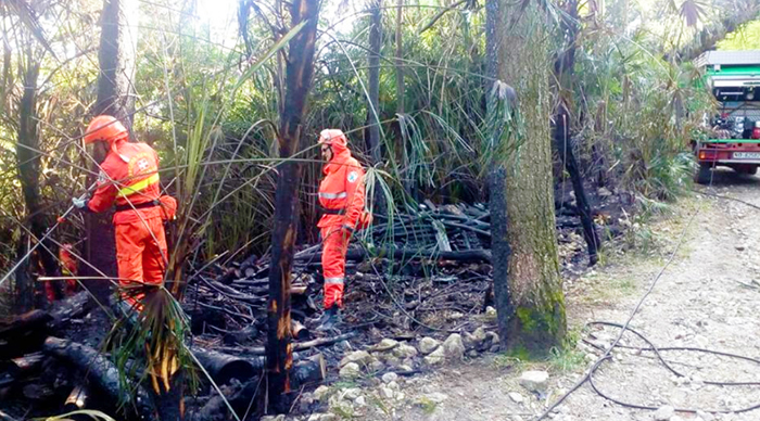 Potrebbe essere stato acceso da un piromane l'incendio al parco della Rocca