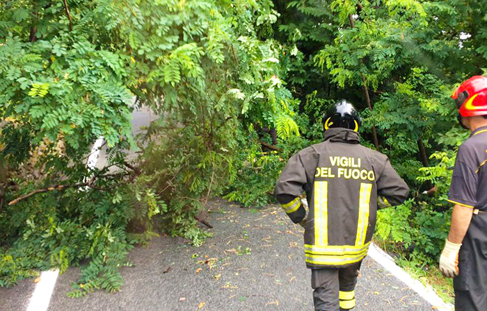 Disastro temporale, alberi caduti a Meina, Lesa, Ameno, Grignasco e Pisano