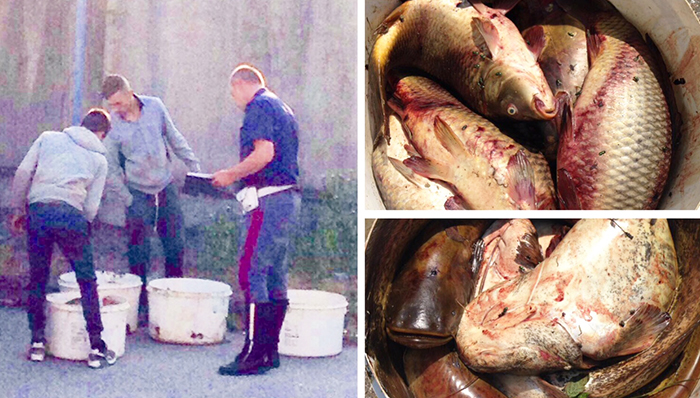 Pescano 80 chili di pesce con la corrente elettrica? Fermati