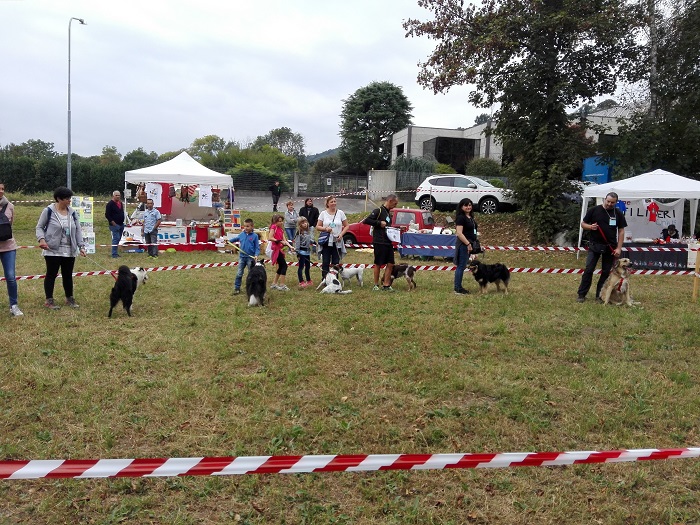 Domenica 30 settembre Miasino ha ospitato Bilake Dog Day. Fotogallery
