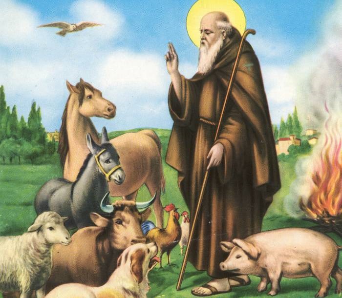 La festa di Sant'Antonio a Briallo con la benedizione degli animali e dei macchinari agricoli